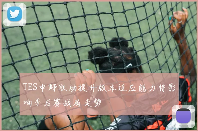 TES中野联动提升版本适应能力将影响季后赛战局走势